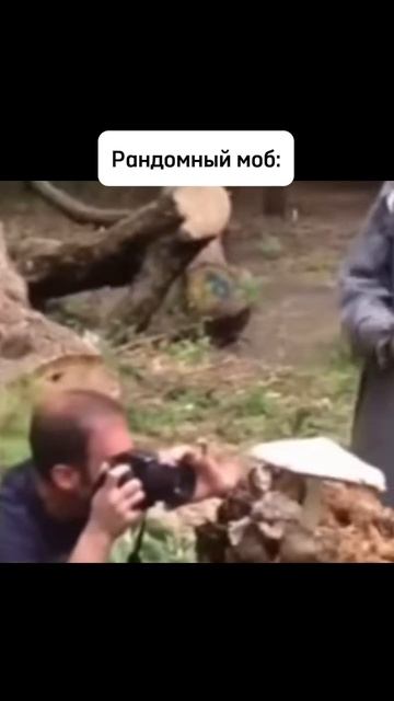 я и рандомный моб охранявший блок грязи