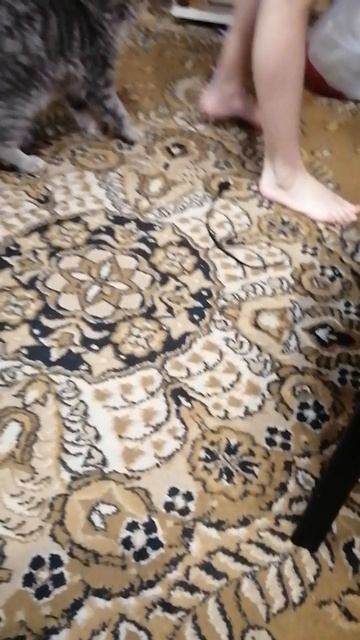 Девчачьи бои за территорию