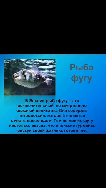 Фугу 🐡🐡