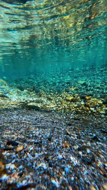 Ради такого кадра и телефона не жалко