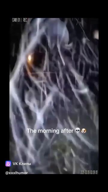 Бесконечный Читатель Сезон 1 Серия 49 Оса