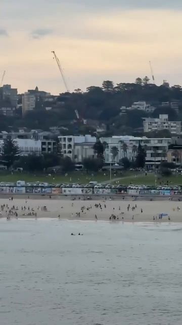 ⚡️Стрельба в Сиднее: несколько человек ранены после того, как неизвестные открыли огонь на пляже Бон