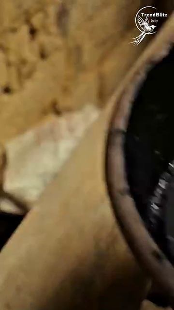 Хуэйчжоуская тушь - это шедевр традиций и точности, созданный в течение целого года