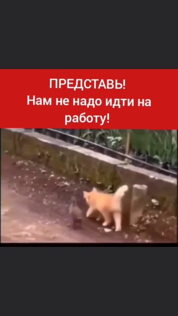 😊У Л Ы Б Н И С Ь😊 И послушай музыку https://rutube.ru/video/adf0da986cc64b9ed8286a087320f332/?r=a