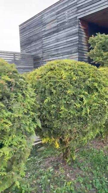 Прогулка по садовому центру Горки Парк