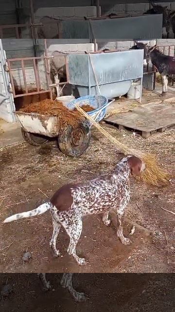 Уборка территории