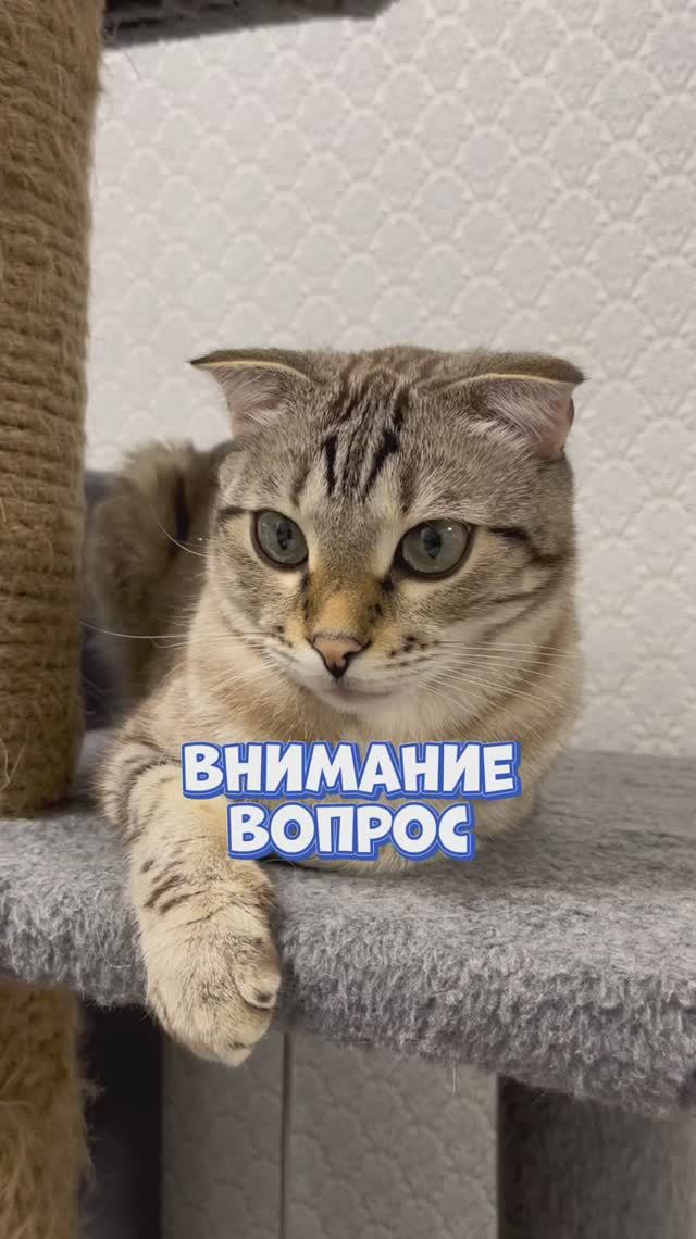 Интересно придумали 🫶