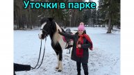 Как я катаюсь с горки🛝☃️😍🤩
