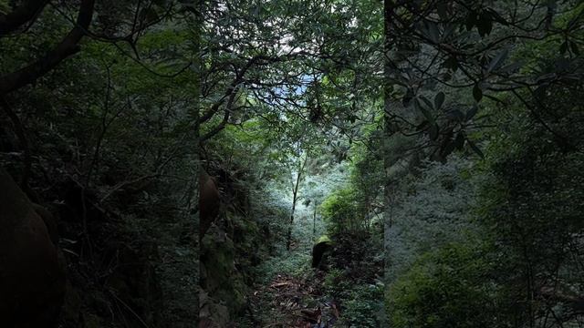 Мукбанг/китайский мукбанг/