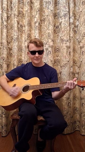 SLNV - Хохлатый пингвин