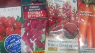 14.12.2025. Отбраковка двух цинерарий и + 4 пакетика с семенами на сезон 2026.