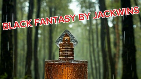 BLACK FANTASY BY JACKWINS. Джеквинс и Джон вин это бренды одной компание. Перепутал.