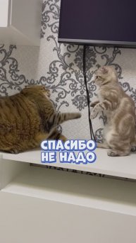 Думаете Туся не рада ?😁