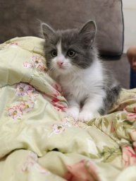 Разговариваем