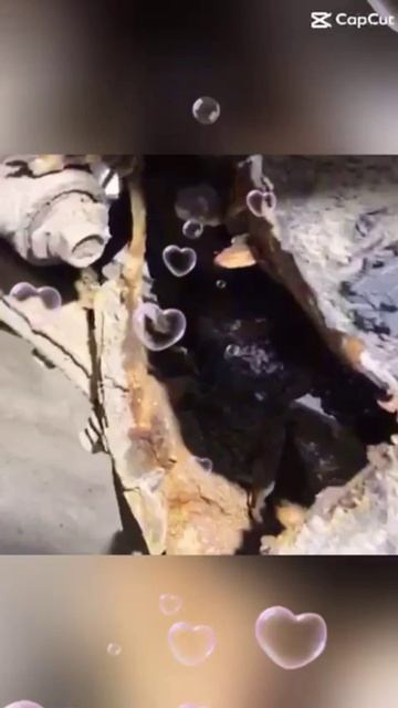 project-2025-05-18 08:16:08.7050