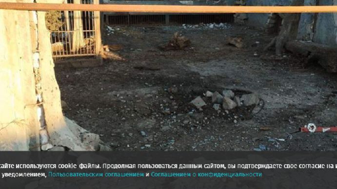 Считавшийся погибшим после удара ВСУ по Васильевке лев выжил