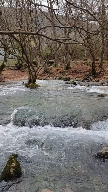 Мощный речной поток