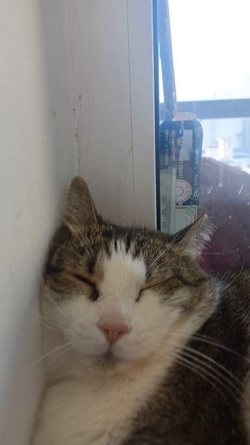 Большой задрыхлень