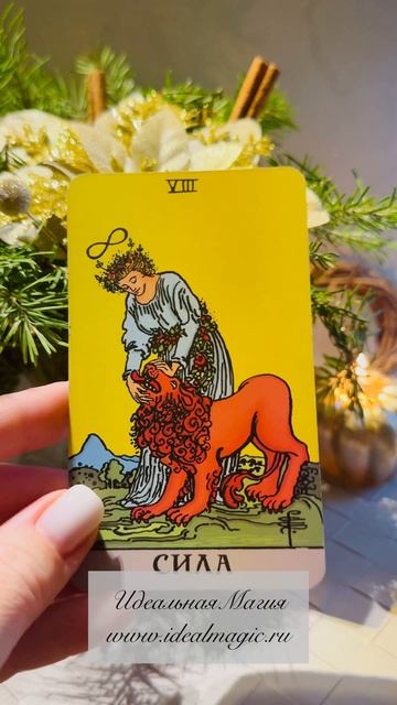 Прогноз на сегодня ⚡️