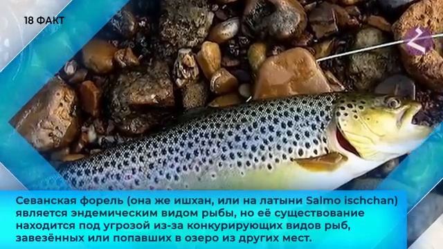 26 фактов об озере Севан.