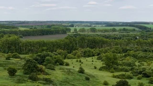 Ничего себе, какие кабаны клюют в этом ручье! Рыбалка на спиннинг 2025