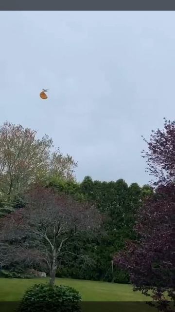 Где наша пицца?