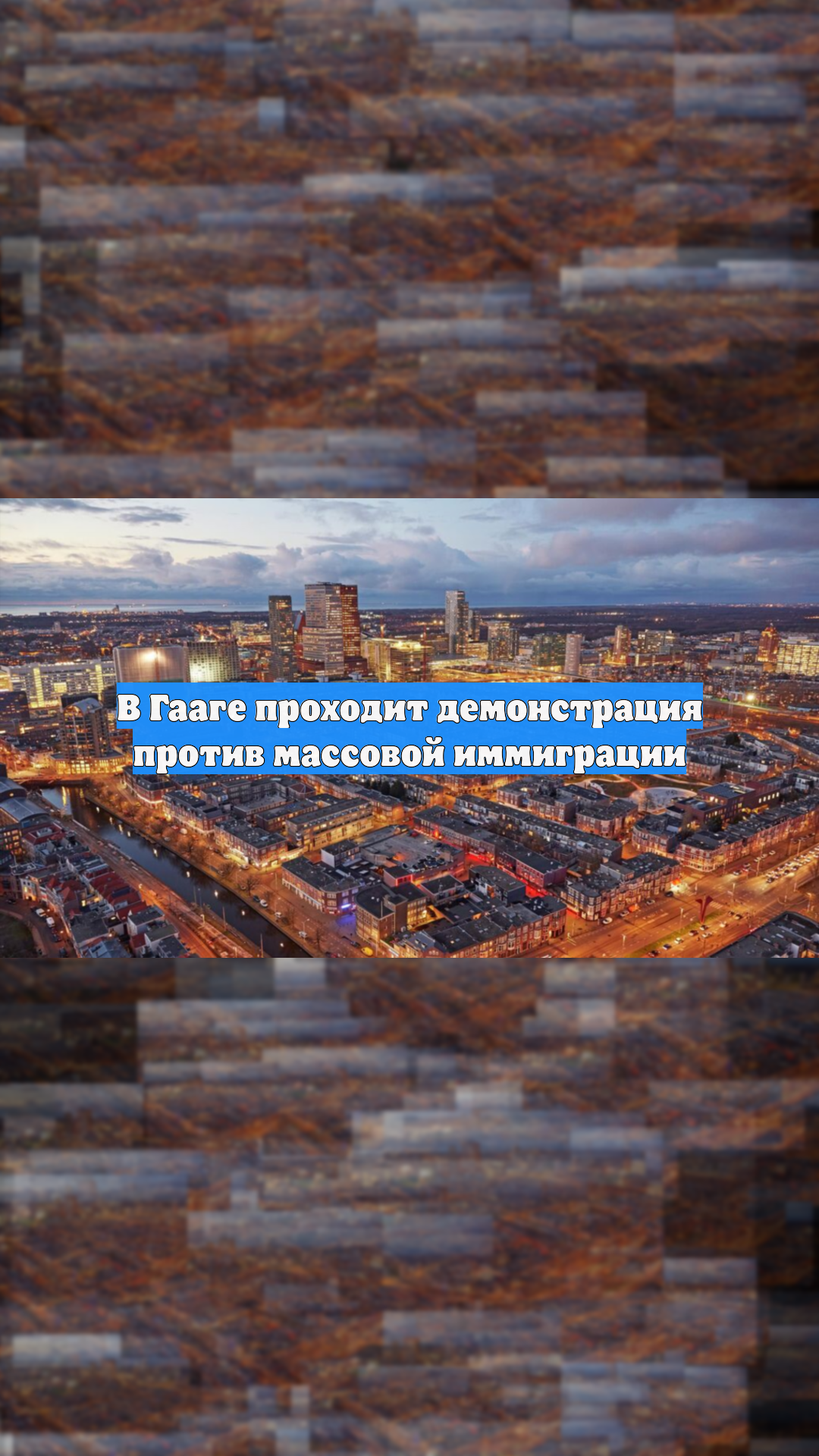 В Гааге проходит демонстрация против массовой иммиграции