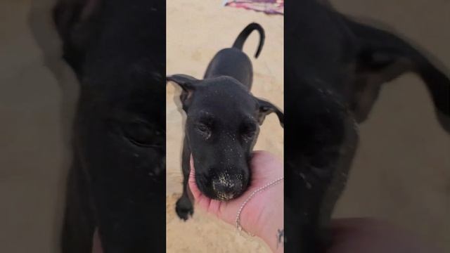 Путешествие длинною в год. День 20-21й.Остров Фукуок, Вьетнам