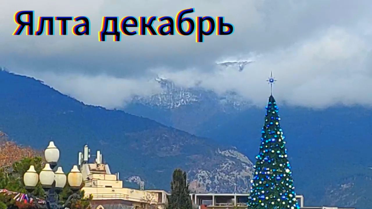 Крым зимой: Время неспешных прогулок.Собаки. Жизнь на море / Ялта