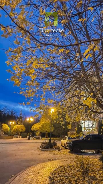 Вечер #Осень #Ноябрь #жкПрилесье #ПрилесьеТольятти