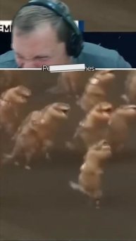 ✅Забег🏃♂️🔥