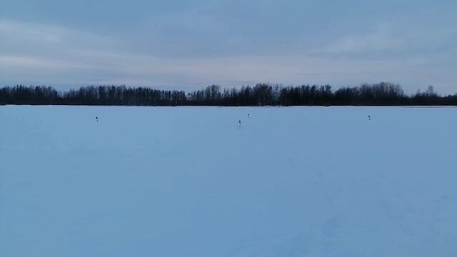 13 декабря 2025г. Открыл свой жерличный сезон.