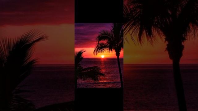 Смотрите, слушайте, и наслаждайтесь