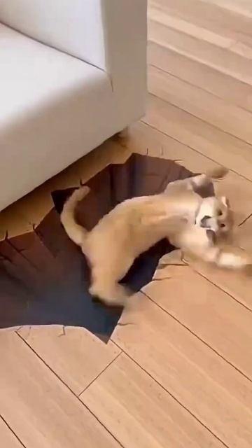 😅Не успела проверить безопасность ...