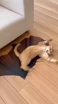 😅Не успела проверить безопасность ...