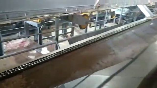 Скоростная горбыльная линия (70 м/мин) (кромкообрезная линия)