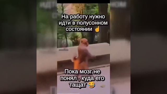 Видео от МЭН - Мне Это Нравится