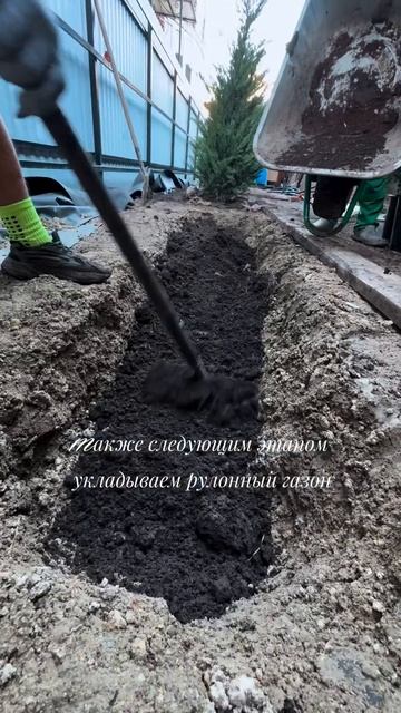 Подпишись, чтобы увидеть каким получится сад!