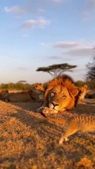 Спокойствие 🧘♀️