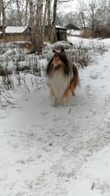 SL_MO_VID_20250209_102816.mp4