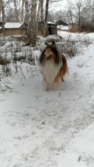 SL_MO_VID_20250209_102816.mp4