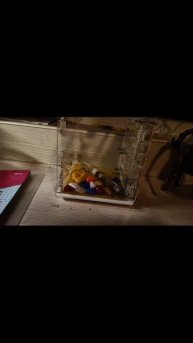 муравишки😁