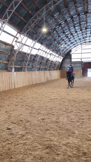 Оксана Новикова и Рокас Вэлл, уступка на галопе в манеже.