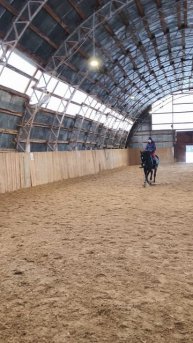 Оксана Новикова и Рокас Вэлл, уступка на галопе в манеже.