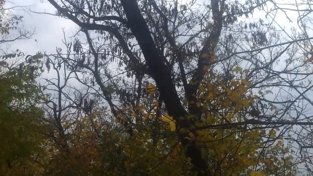 ❤️ Жизнь продолжается вместе с песней ❤️