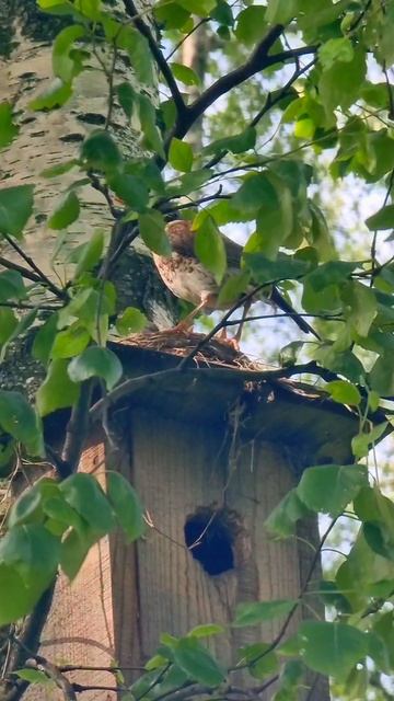 С чего начинается исполнение желания