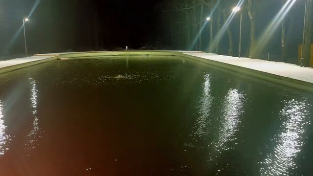 Обстановка на лесном водоёме: