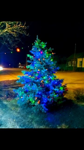 ЁЛОЧКА ГОРИ