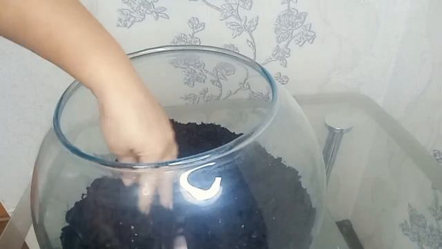 Флорариум своими руками