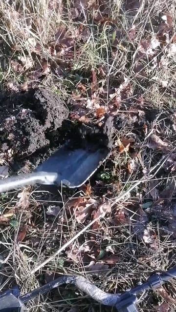 Немного осеннего копа #коп #копметалла #находка